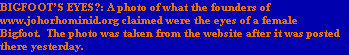 BIGFOOTS EYES?: A photo of what the founders of 
www.johorhominid.org claimed were the eyes of a female 
Bigfoot.  The photo was taken from the website after it was posted 
there yesterday.