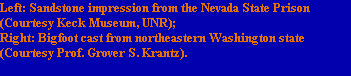 Left: Sandstone impression from the Nevada State Prison 
(Courtesy Keck Museum, UNR);
Right: Bigfoot cast from northeastern Washington state 
(Courtesy Prof. Grover S. Krantz).