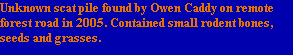 Unknown scat pile found by Owen Caddy on remote 
forest road in 2005. Contained small rodent bones, 
seeds and grasses.