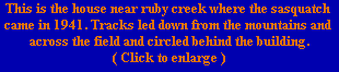 This is the house near ruby creek where the sasquatch 
came in 1941. Tracks led down from the mountains and 
across the field and circled behind the building.
( Click to enlarge )