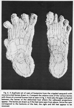 bigfoot footprints