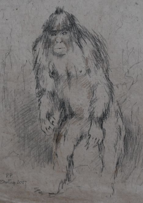 yeti_sketch