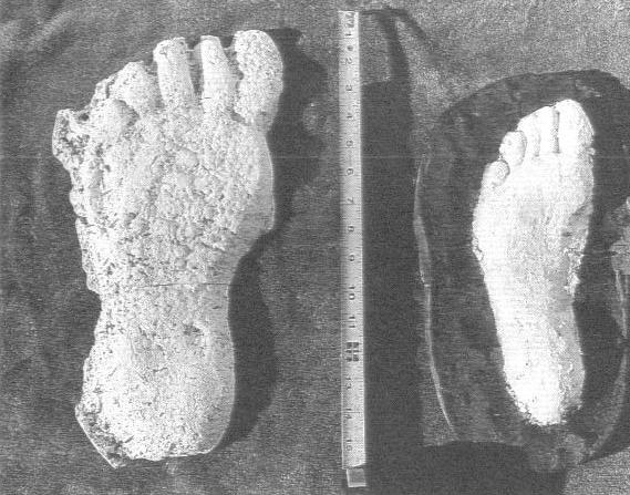 bigfoot footprints